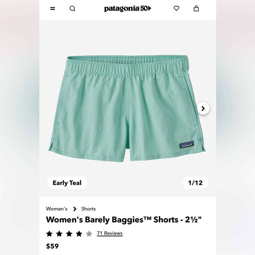 Small Teal Patagonia Baggie Shorts